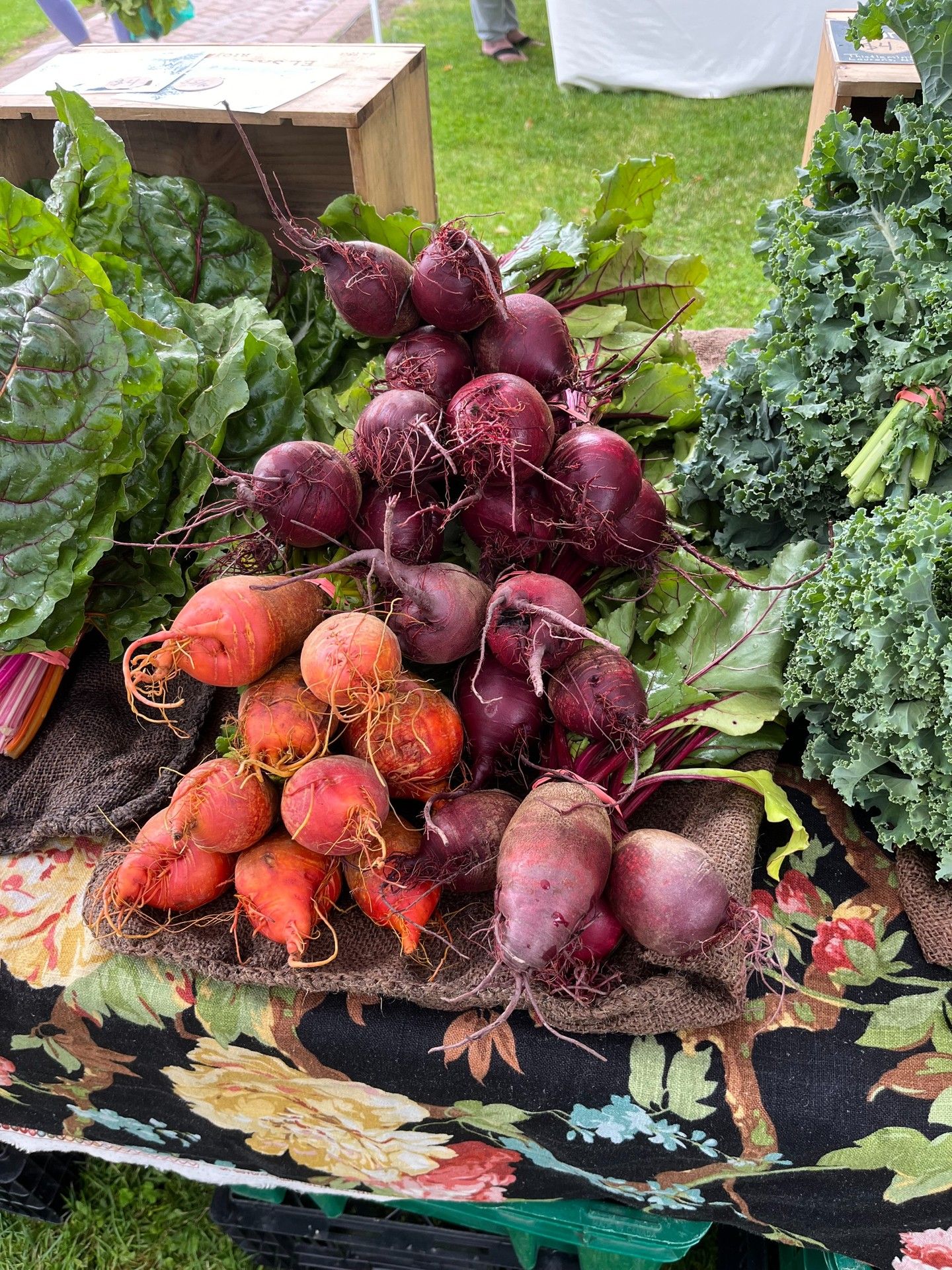 Carrots, beets, potatoes, parsnips, turnips, all the good stuff that grows underground and makes cold-weather meals cozy and delicious. Whether you’re roasting them up, tossing them in a stew, or just snacking on them raw, Catskills-grown root veggies are fresh, flavorful, and full of that earthy goodness you just can’t get from store-bought. These veggies are picked close to home and grown with care by local farmers who know their soil.Simple Roasted Root Vegetables
Ingredients:
- 2 carrots, peeled and chopped
- 2 parsnips, peeled and chopped
- 2 beets, peeled and chopped
- 1 sweet potato, peeled and cubed
- 1 small red onion, sliced
- 2 tbsp olive oil
- 1 tsp salt
- ½ tsp black pepper
- 1 tsp dried thyme or rosemaryOptional: drizzle of maple syrup or balsamic vinegar for extra flavorInstructions:
1. Preheat your oven to 425°F.
2. In a large bowl, toss all the chopped veggies with olive oil, salt, pepper, and herbs until evenly coated.
3. Spread them out on a baking sheet in a single layer (use parchment paper for easy cleanup).
4. Roast for 30–40 minutes, flipping halfway through, until veggies are tender and caramelized on the edges.Optional: Drizzle with maple syrup or balsamic vinegar right out of the oven for a sweet and tangy finish.#PureCatskills #BuyFresh #BuyLocal