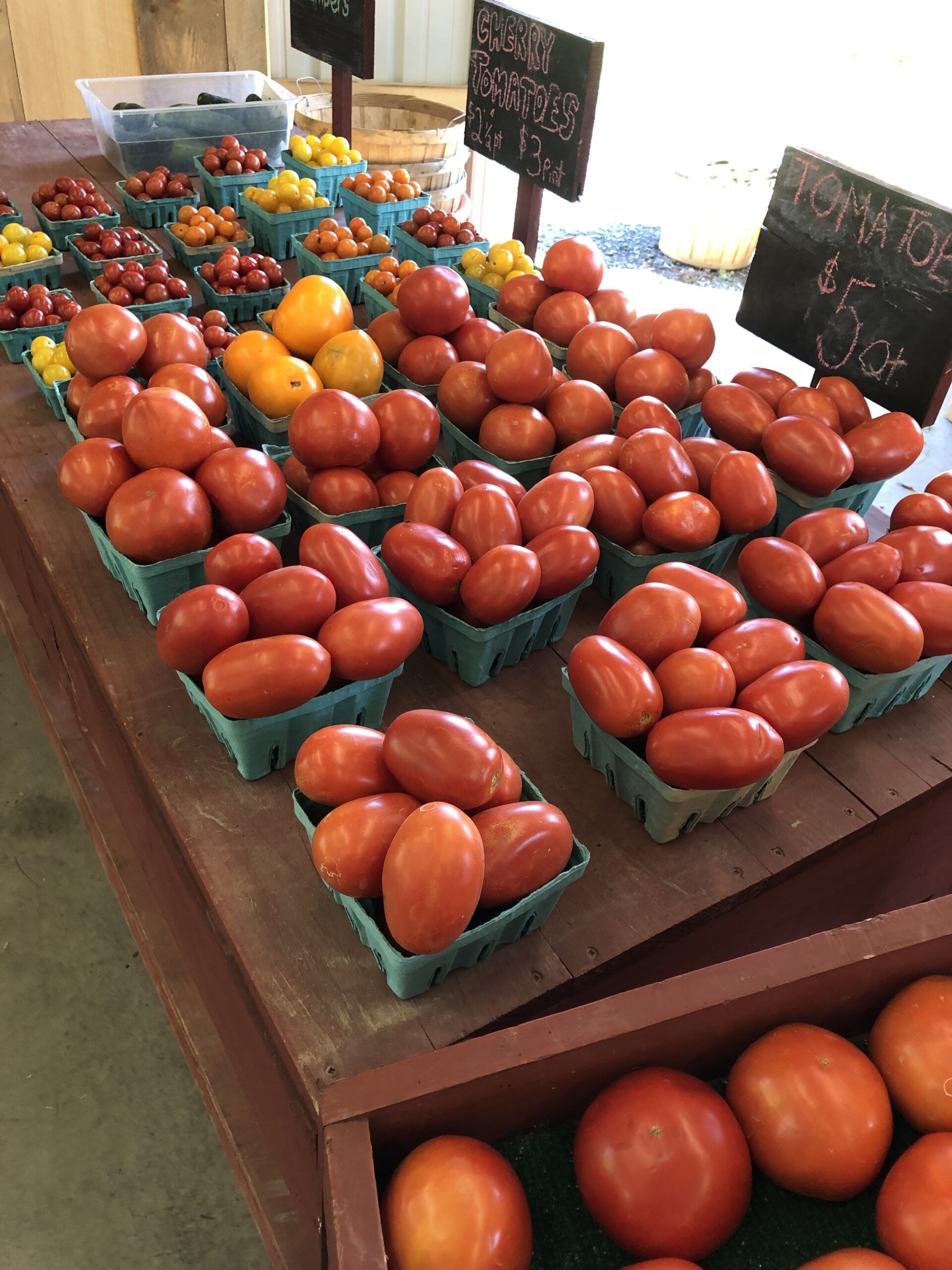 Roasted Tomato Sauce